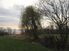 Winter-Wandern mit Heinz Klenk