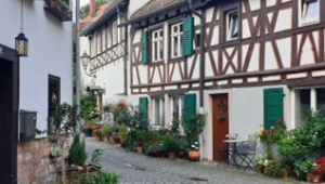 Tagesfahrt nach Weinheim an der Bergstraße